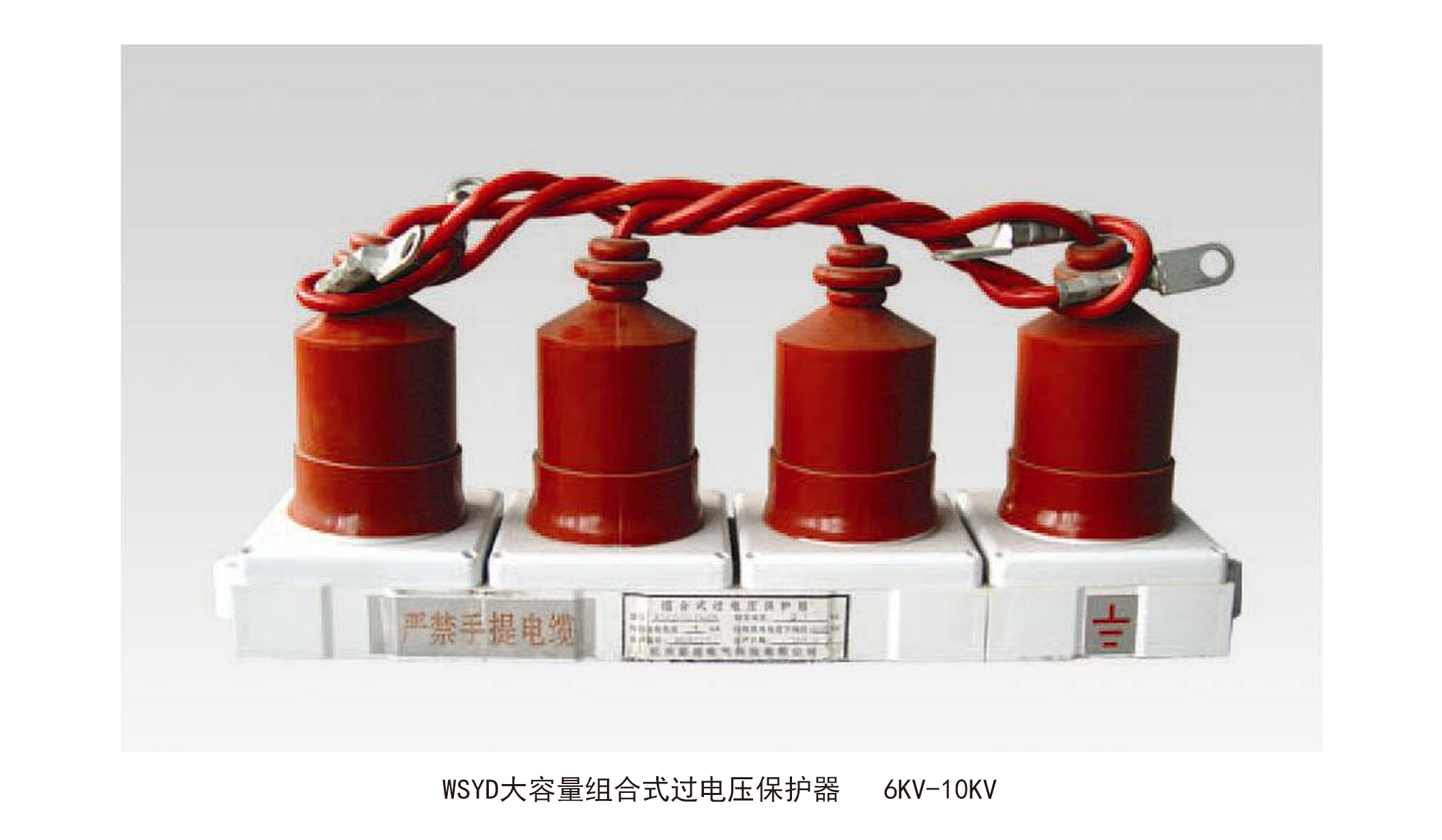 WSYD大容量組合式過(guò)電壓保護(hù)器6KV-10KV