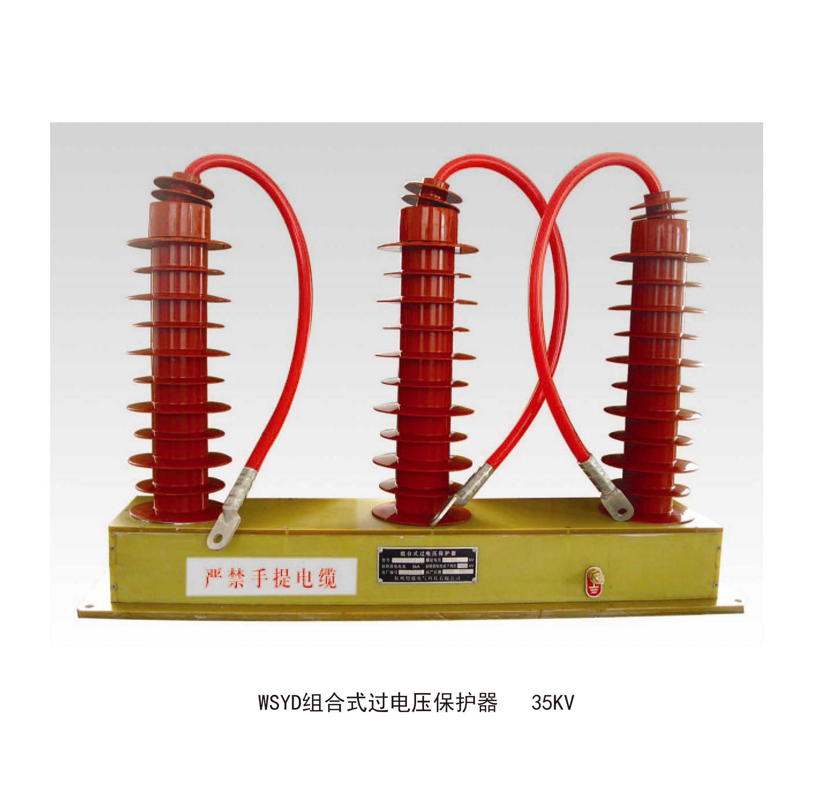 WSYD組合式過電壓保護(hù)器35KV